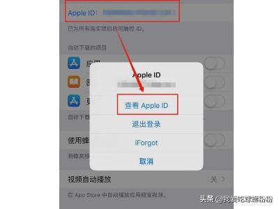 怎么查看App Store里的扣费项目？-第3张图片-太平洋在线下载