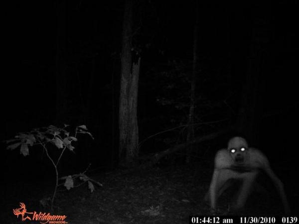 手机版猎鹿人:美国猎鹿人搭设的相机在树林里拍到的，恐怖，什么东西。。。