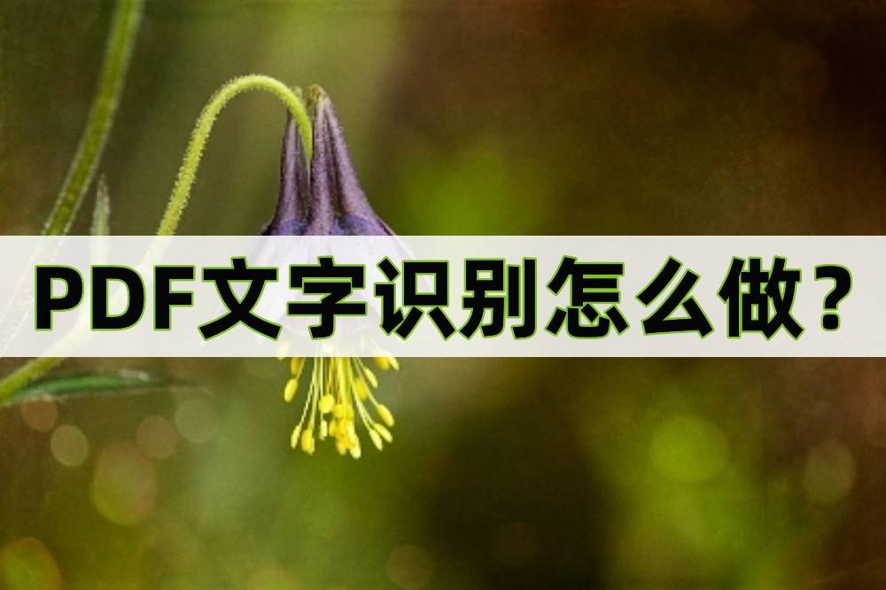 迅捷文字识别苹果版:PDF文字识别怎么做？教你几分钟快速识别PDF文档