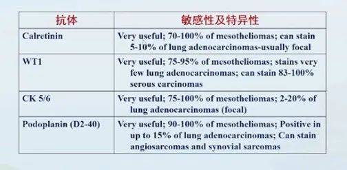 易小贷苹果版:【衡道丨笔记】2021版WHO胸膜间皮瘤更新要点及鉴别诊断-第13张图片-太平洋在线下载