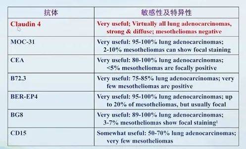 易小贷苹果版:【衡道丨笔记】2021版WHO胸膜间皮瘤更新要点及鉴别诊断-第14张图片-太平洋在线下载