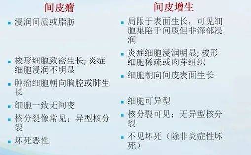 易小贷苹果版:【衡道丨笔记】2021版WHO胸膜间皮瘤更新要点及鉴别诊断-第15张图片-太平洋在线下载