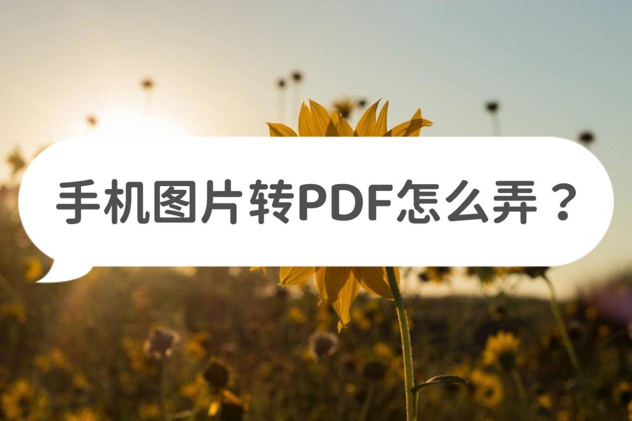 手机图片:手机图片转PDF怎么弄？这些工具轻松转换