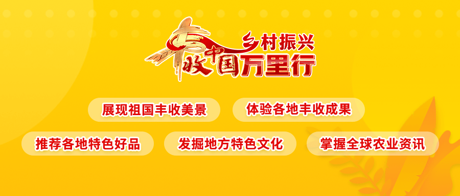 中央一台在线直播手机电视:中央电视台《中国三农报道》报道云天化“耕”新一年