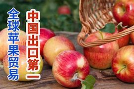 unibike苹果版omofun苹果版下载-第1张图片-太平洋在线下载