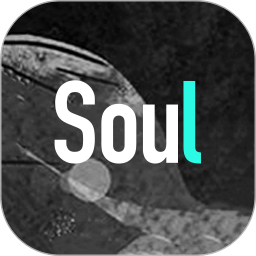 soul客户端异常怎么把soul安装到电脑上-第2张图片-太平洋在线下载