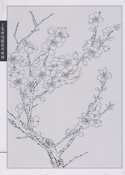 安卓版白描工笔白描100张图谱-第1张图片-太平洋在线下载