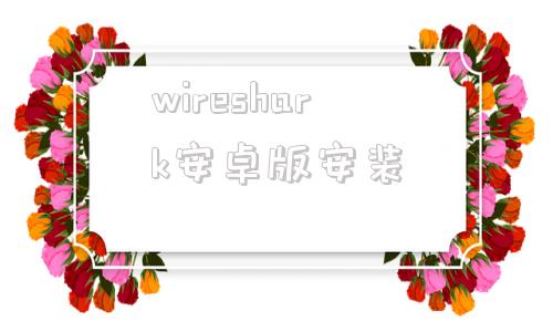 wireshark安卓版安装wireshark手机app抓包